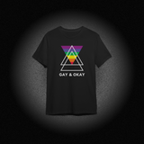 Gay & Okay Regular Men's T-Shirt