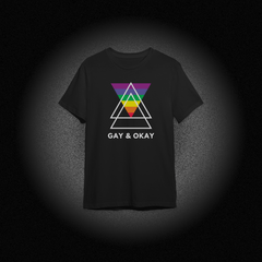 Gay & Okay Regular Men's T-Shirt